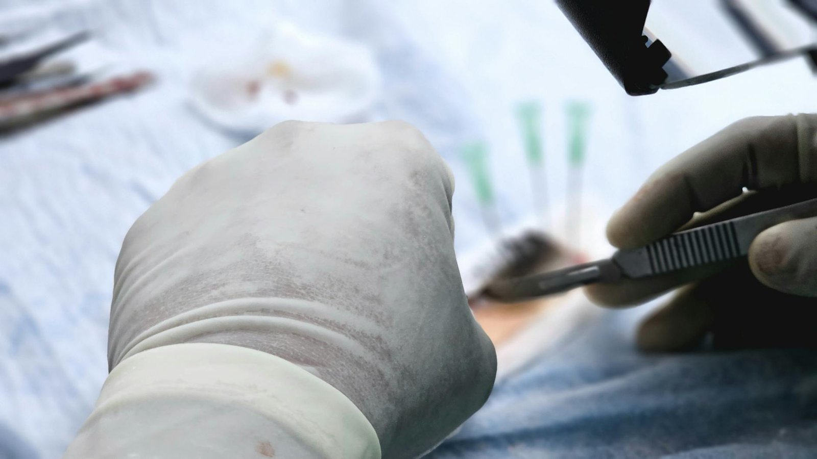 https://www.pexels.com/photo/close-up-of-a-doctor-wearing-gloves-holding-a-medical-instrument-27138340/